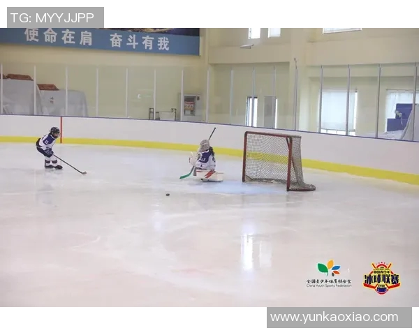 冰球比赛中守门员扑救策略与进攻模式选择的对比分析